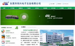 東莞專業網站設計與建設 耐特網絡公司運營管理解析